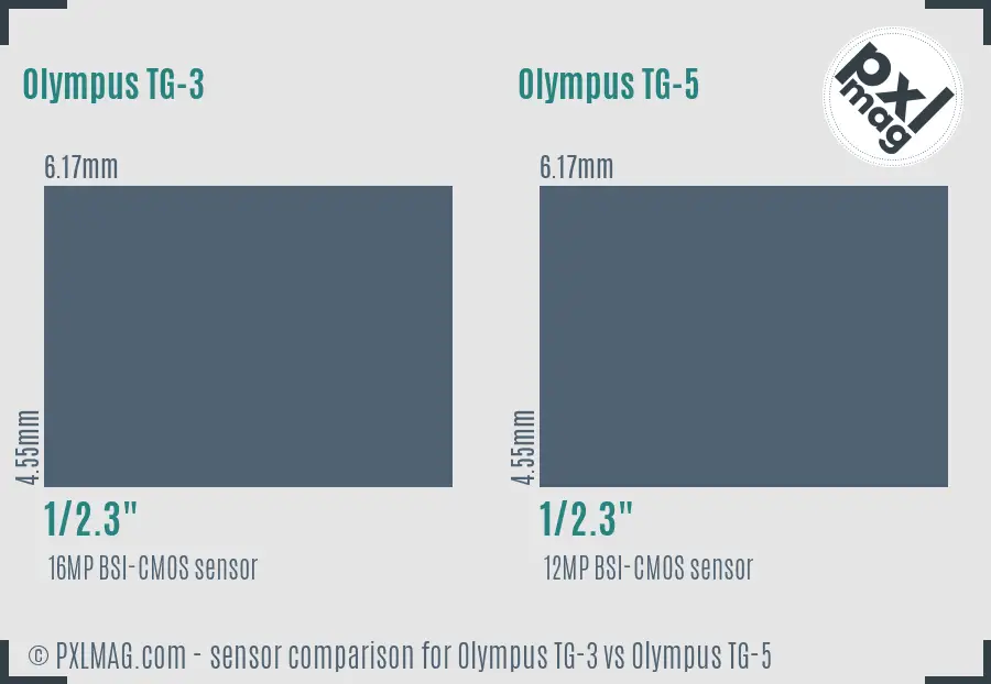 Olympus TG-3 vs Olympus TG-5 sensor size comparison