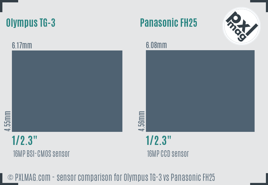 Olympus TG-3 vs Panasonic FH25 sensor size comparison