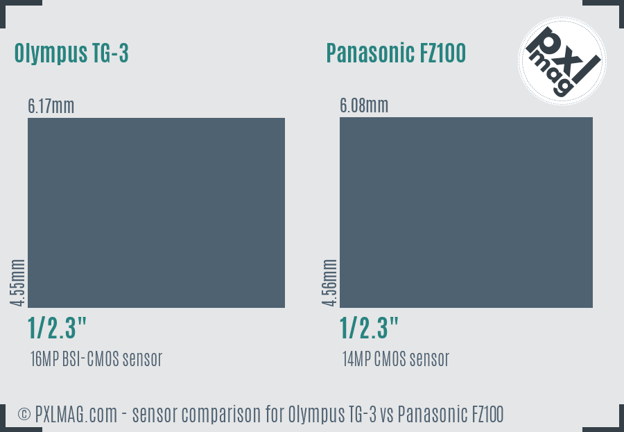 Olympus TG-3 vs Panasonic FZ100 sensor size comparison