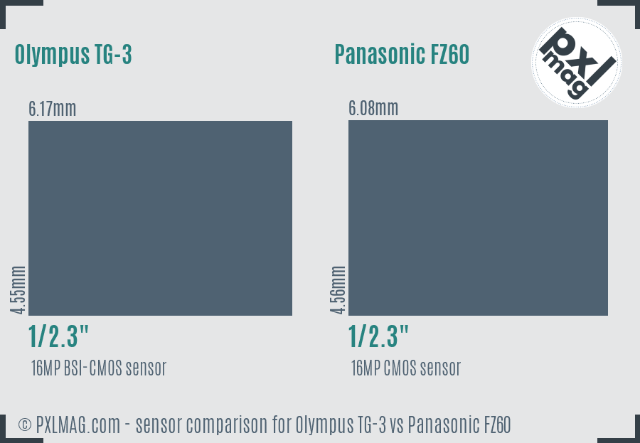 Olympus TG-3 vs Panasonic FZ60 sensor size comparison