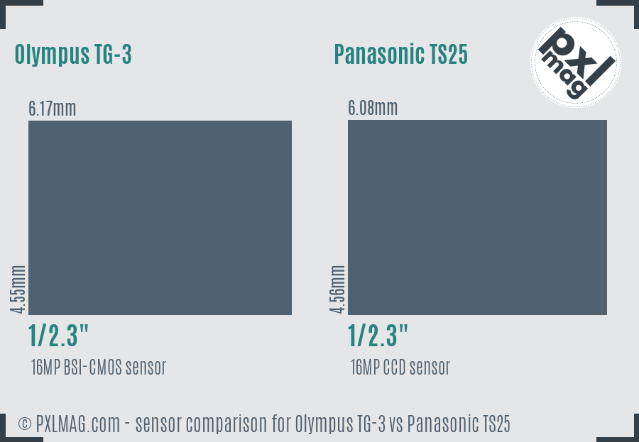 Olympus TG-3 vs Panasonic TS25 sensor size comparison