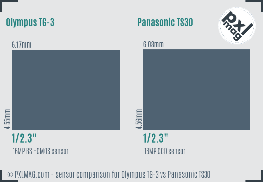Olympus TG-3 vs Panasonic TS30 sensor size comparison
