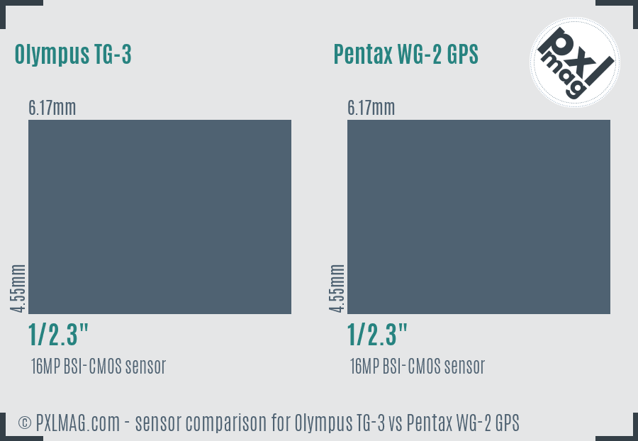 Olympus TG-3 vs Pentax WG-2 GPS sensor size comparison