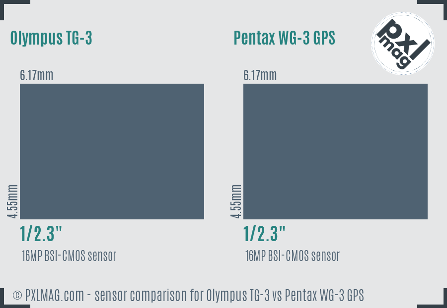 Olympus TG-3 vs Pentax WG-3 GPS sensor size comparison