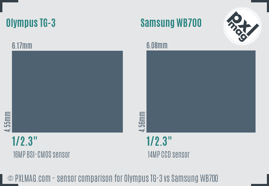 Olympus TG-3 vs Samsung WB700 sensor size comparison