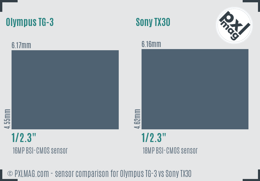 Olympus TG-3 vs Sony TX30 sensor size comparison