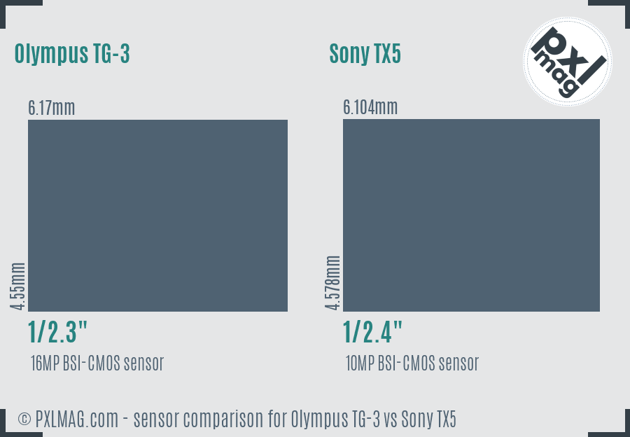 Olympus TG-3 vs Sony TX5 sensor size comparison