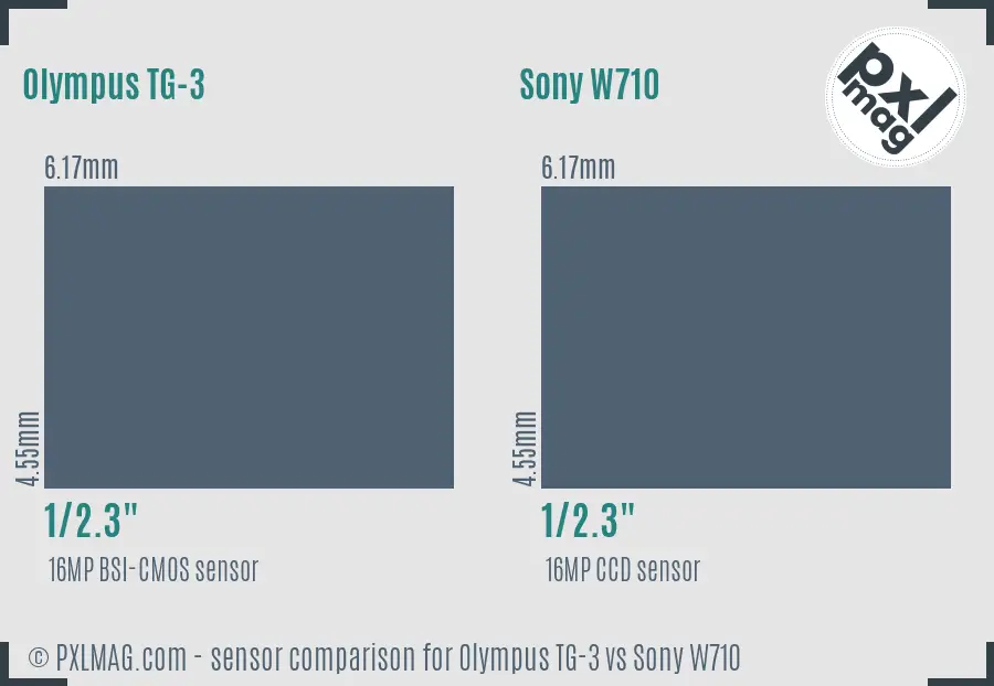 Olympus TG-3 vs Sony W710 sensor size comparison