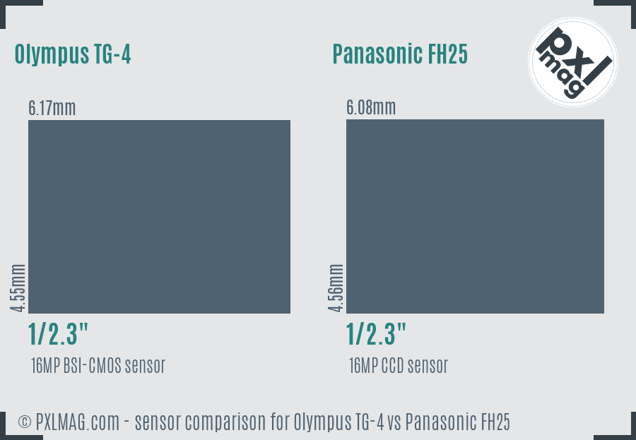 Olympus TG-4 vs Panasonic FH25 sensor size comparison