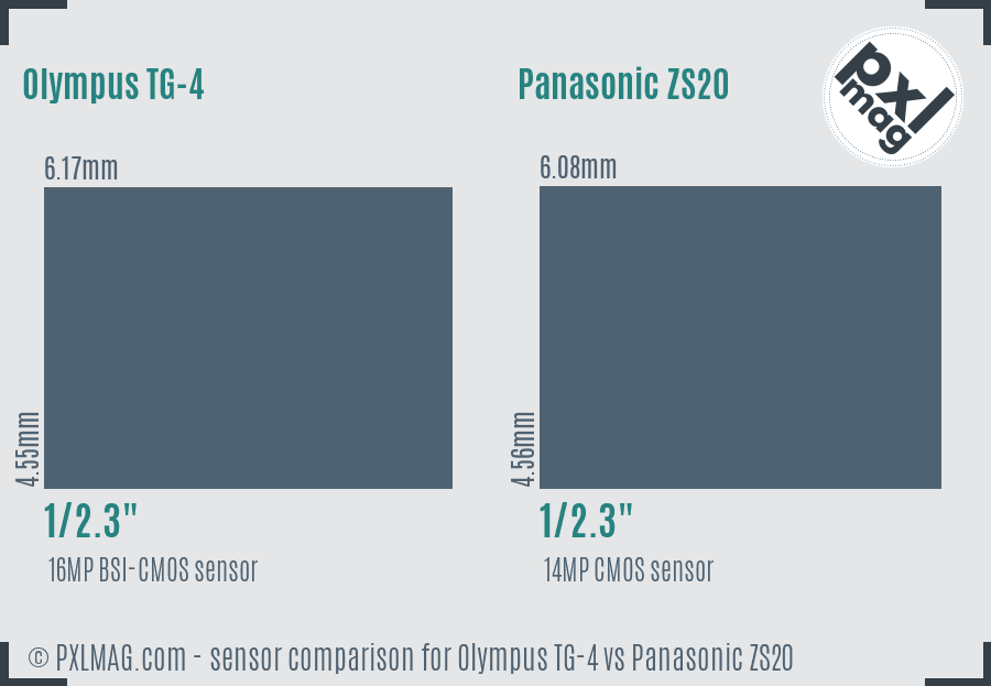 Olympus TG-4 vs Panasonic ZS20 sensor size comparison