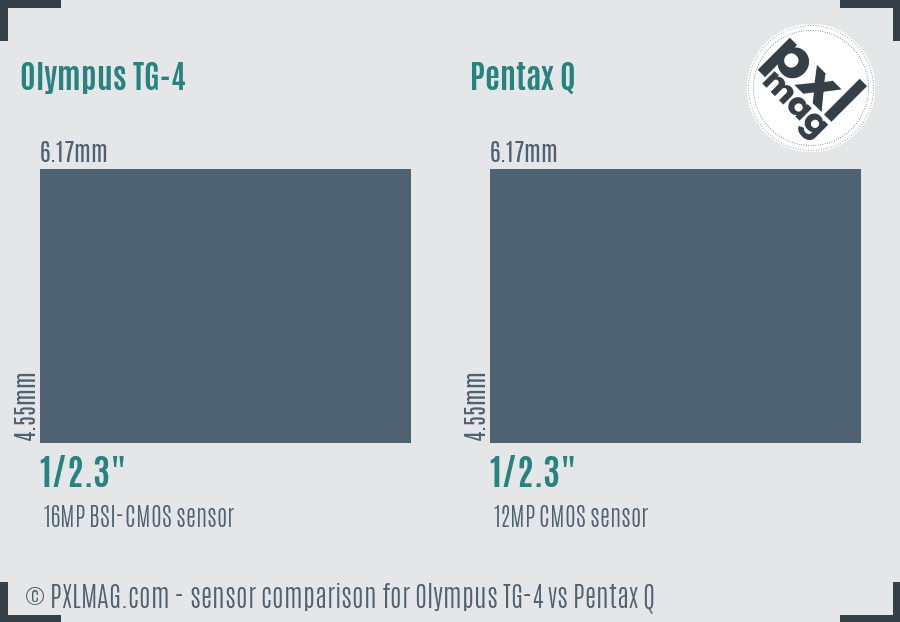 Olympus TG-4 vs Pentax Q sensor size comparison