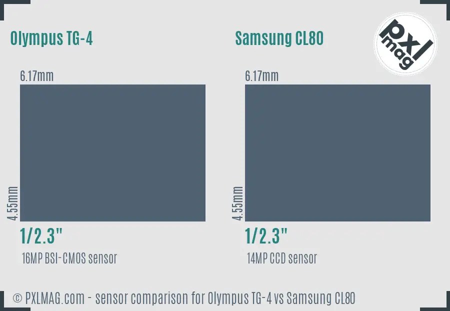 Olympus TG-4 vs Samsung CL80 sensor size comparison