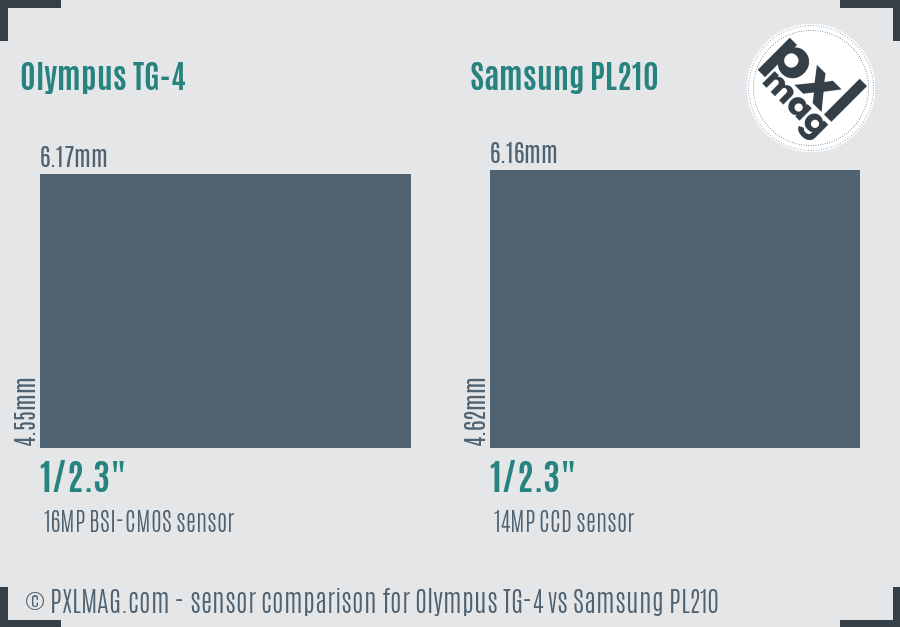 Olympus TG-4 vs Samsung PL210 sensor size comparison