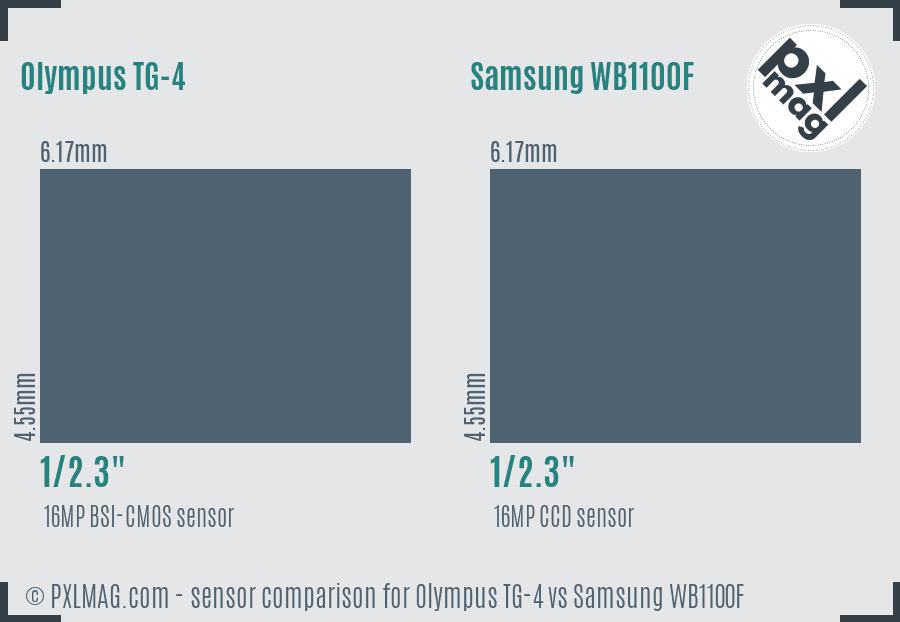 Olympus TG-4 vs Samsung WB1100F sensor size comparison