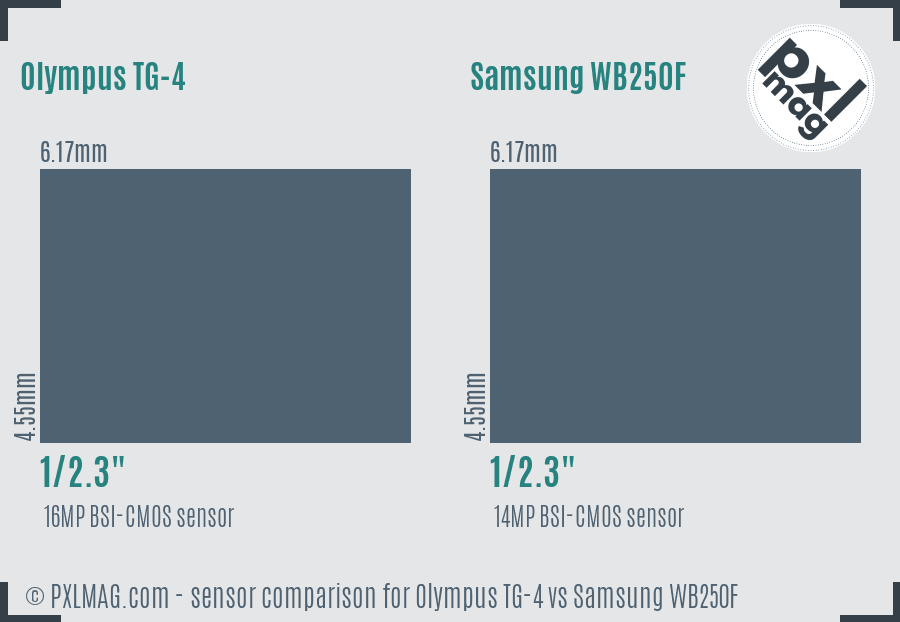 Olympus TG-4 vs Samsung WB250F sensor size comparison