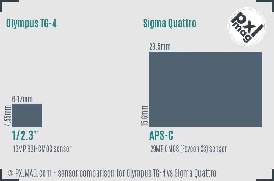 Olympus TG-4 vs Sigma Quattro sensor size comparison Olympus TG-4 vs Sigma Quattro sensor size comparison