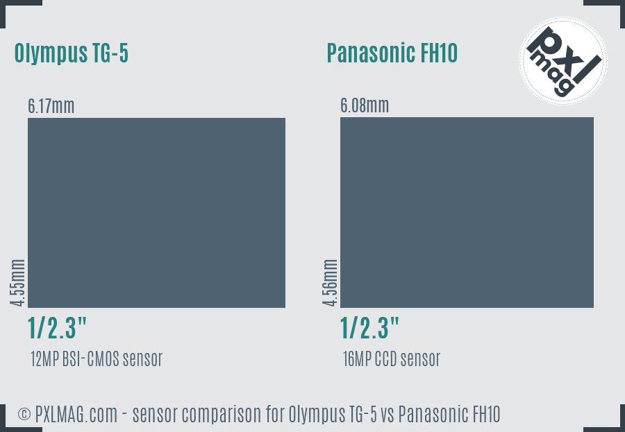 Olympus TG-5 vs Panasonic FH10 sensor size comparison