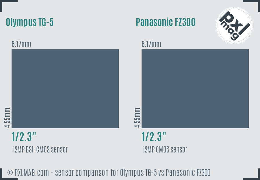 Olympus TG-5 vs Panasonic FZ300 sensor size comparison