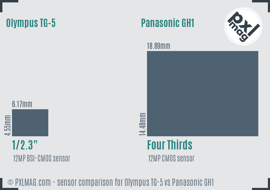 Olympus TG-5 vs Panasonic GH1 sensor size comparison