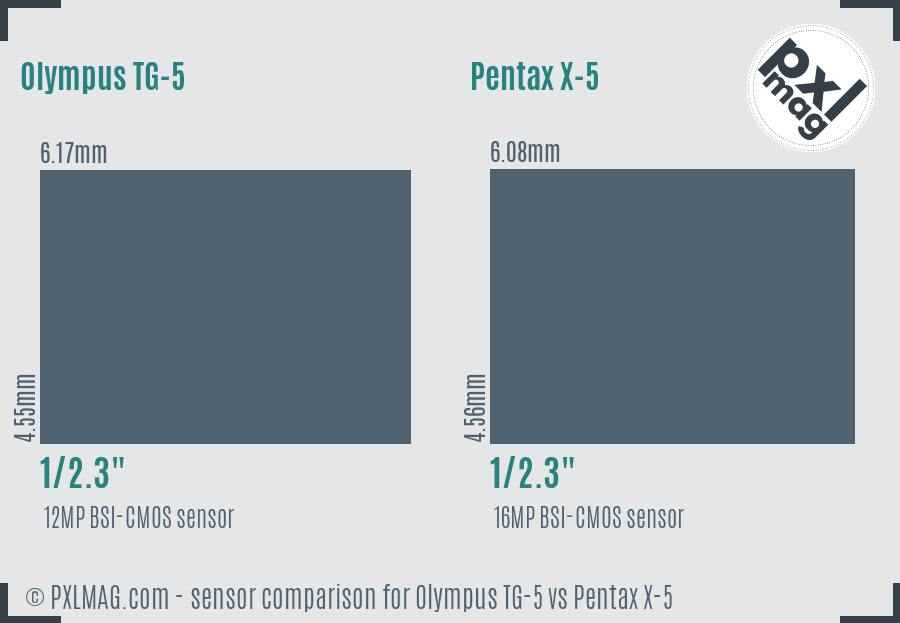 Olympus TG-5 vs Pentax X-5 sensor size comparison