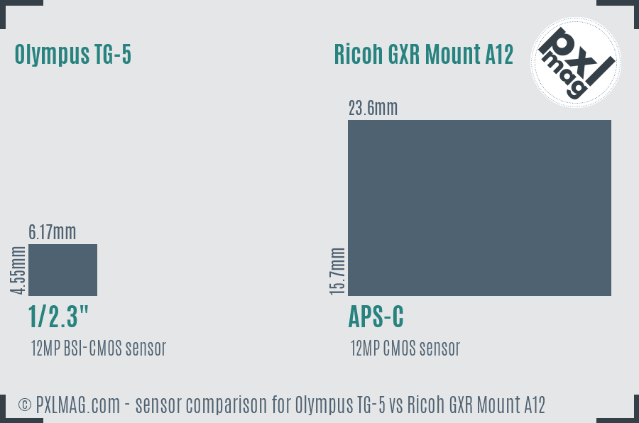 Olympus TG-5 vs Ricoh GXR Mount A12 sensor size comparison
