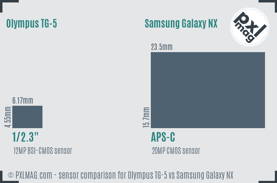 Olympus TG-5 vs Samsung Galaxy NX sensor size comparison