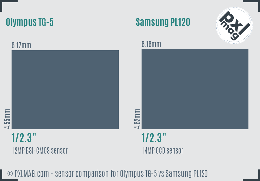 Olympus TG-5 vs Samsung PL120 sensor size comparison