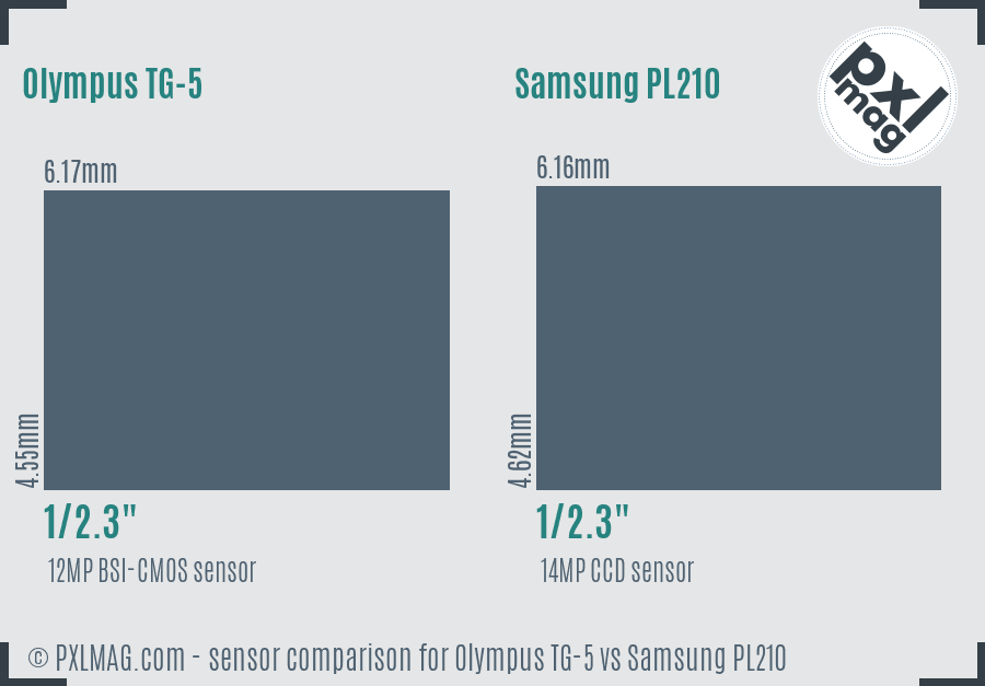 Olympus TG-5 vs Samsung PL210 sensor size comparison