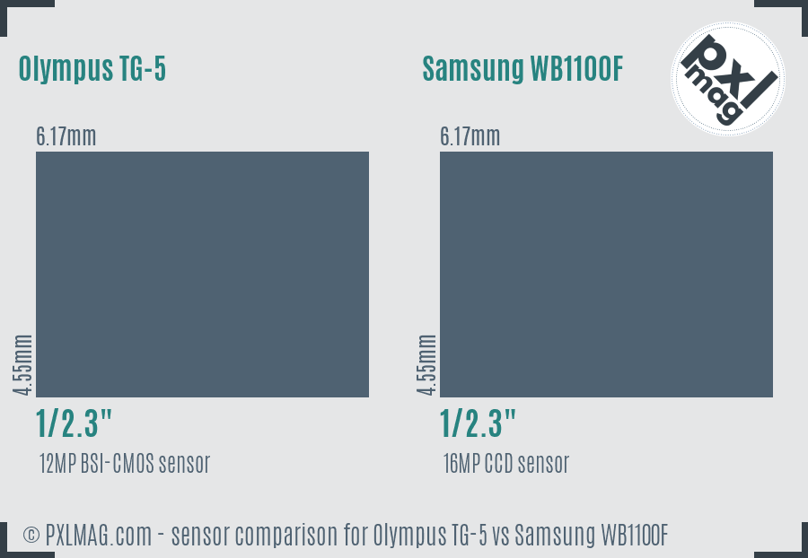 Olympus TG-5 vs Samsung WB1100F sensor size comparison