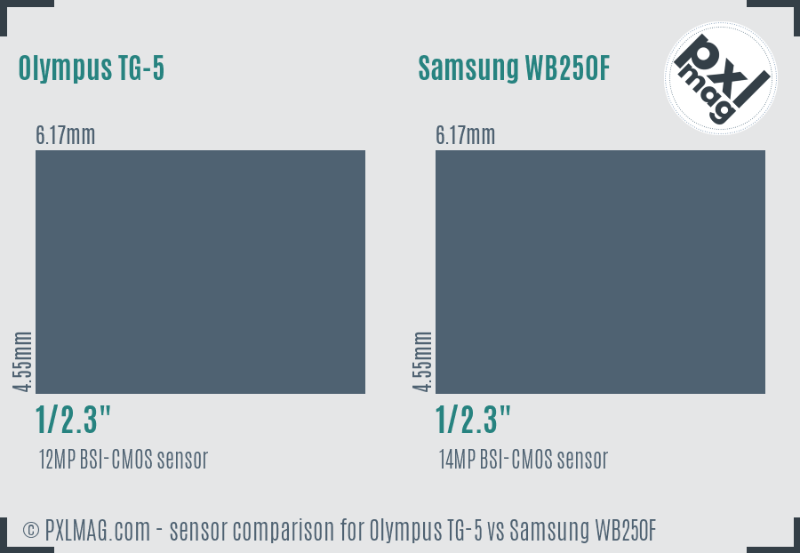 Olympus TG-5 vs Samsung WB250F sensor size comparison