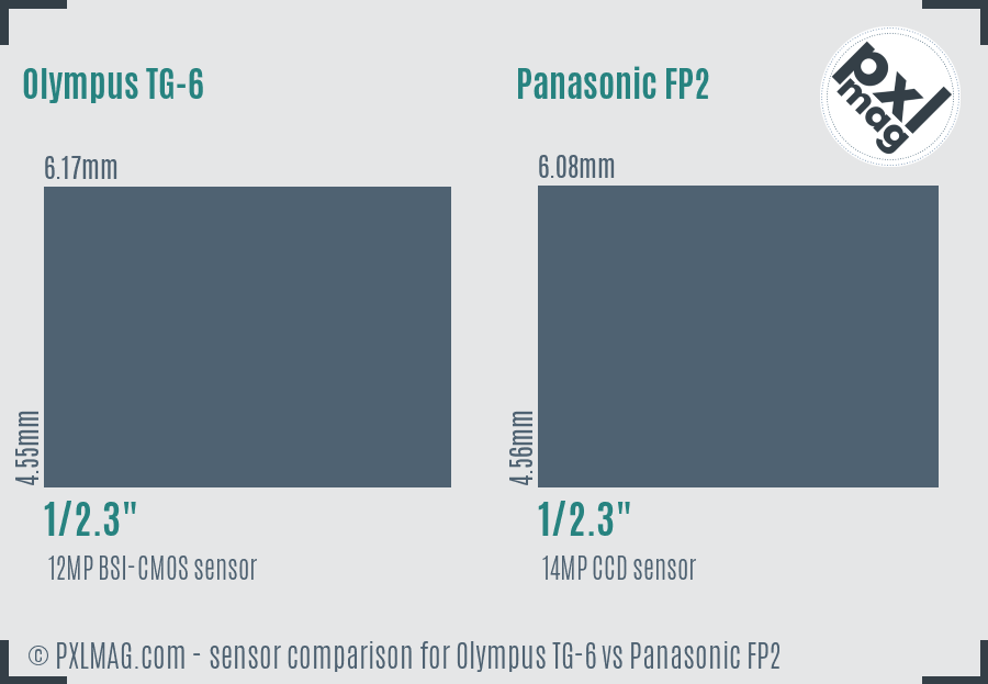 Olympus TG-6 vs Panasonic FP2 sensor size comparison