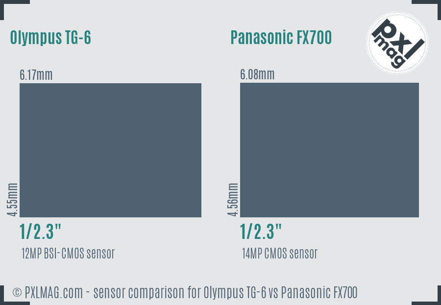 Olympus TG-6 vs Panasonic FX700 sensor size comparison Olympus TG-6 vs Panasonic FX700 sensor size comparison