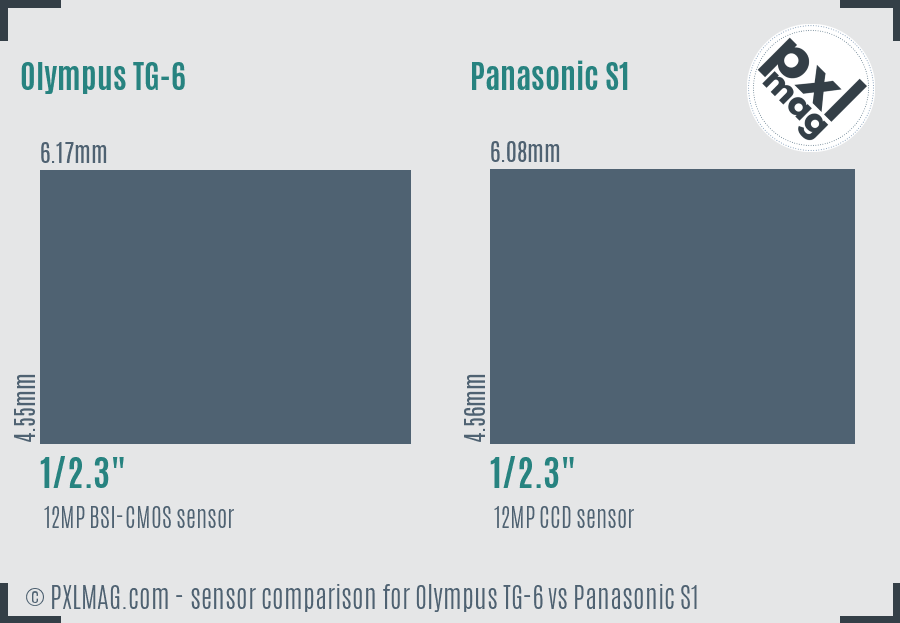 Olympus TG-6 vs Panasonic S1 sensor size comparison Olympus TG-6 vs Panasonic S1 sensor size comparison
