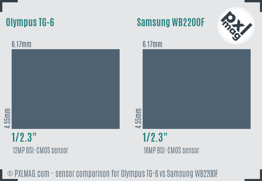 Olympus TG-6 vs Samsung WB2200F sensor size comparison