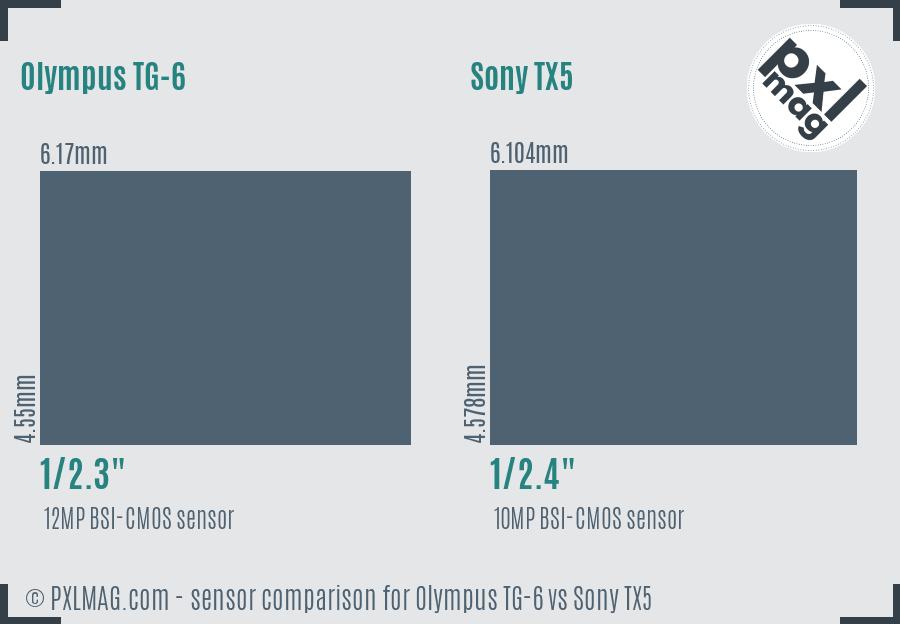 Olympus TG-6 vs Sony TX5 sensor size comparison