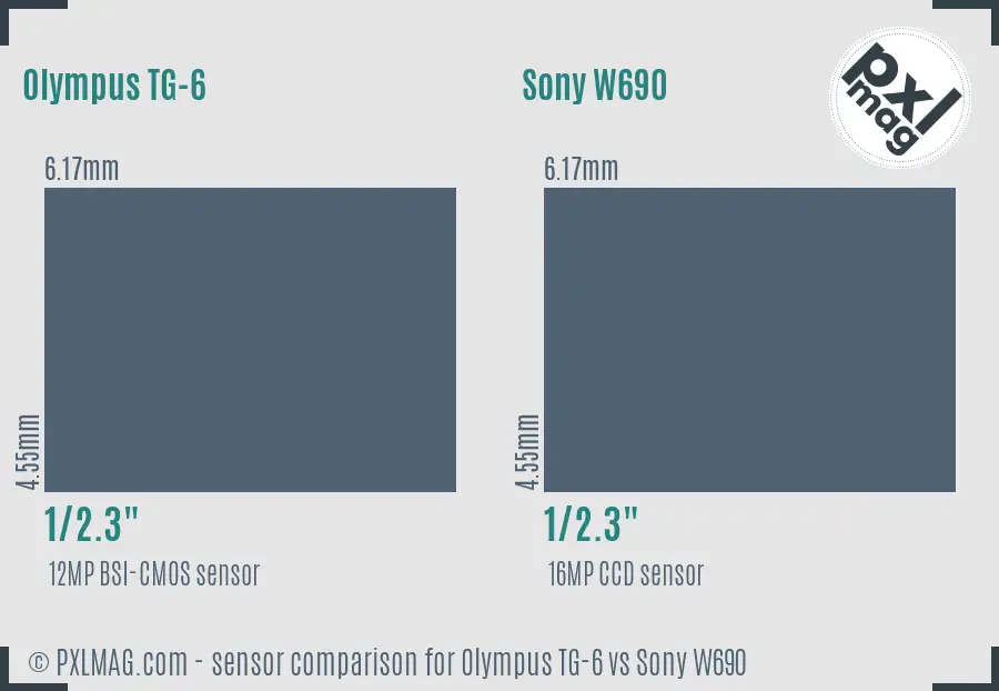 Olympus TG-6 vs Sony W690 sensor size comparison