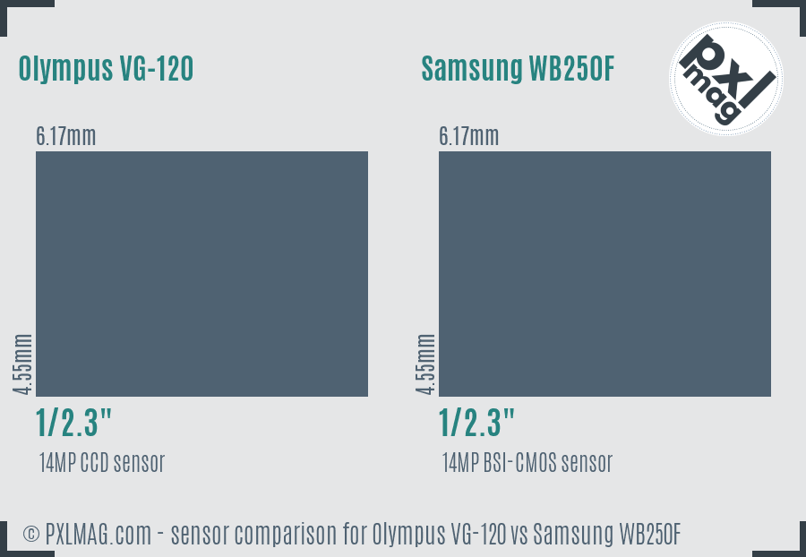 Olympus VG-120 vs Samsung WB250F sensor size comparison