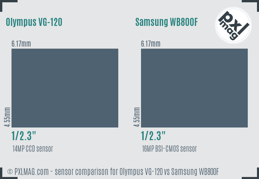Olympus VG-120 vs Samsung WB800F sensor size comparison