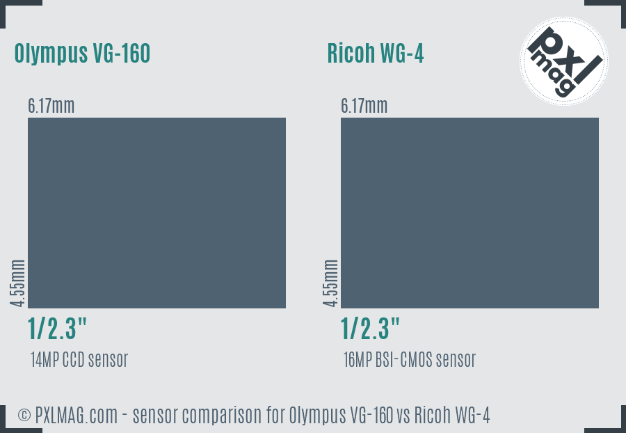 Olympus VG-160 vs Ricoh WG-4 sensor size comparison