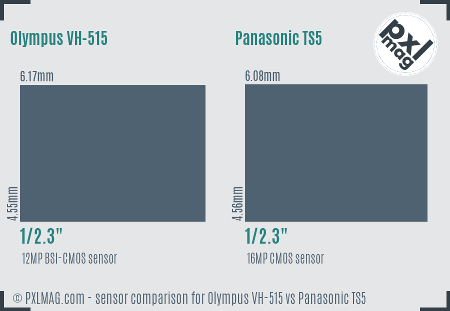 Olympus VH-515 vs Panasonic TS5 sensor size comparison