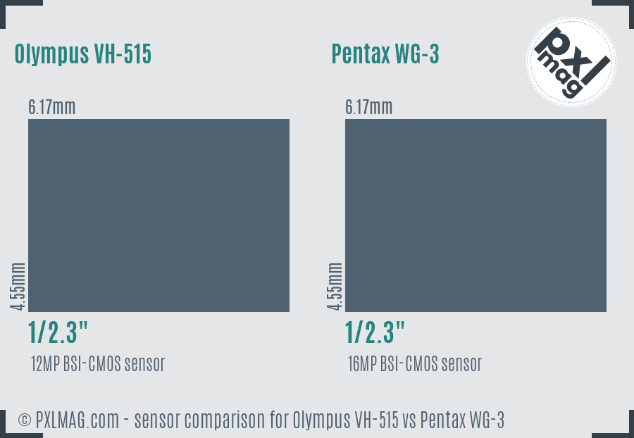 Olympus VH-515 vs Pentax WG-3 sensor size comparison