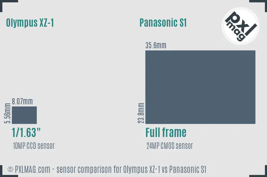 Olympus XZ-1 vs Panasonic S1 sensor size comparison