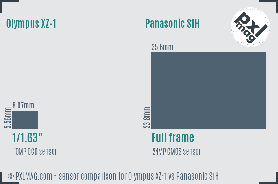Olympus XZ-1 vs Panasonic S1H sensor size comparison