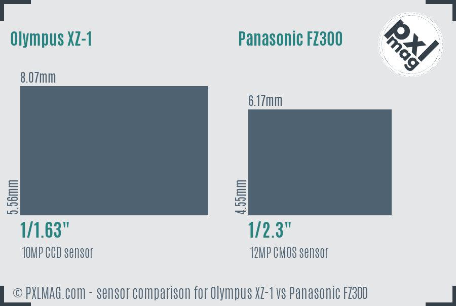 Olympus XZ-1 vs Panasonic FZ300 sensor size comparison