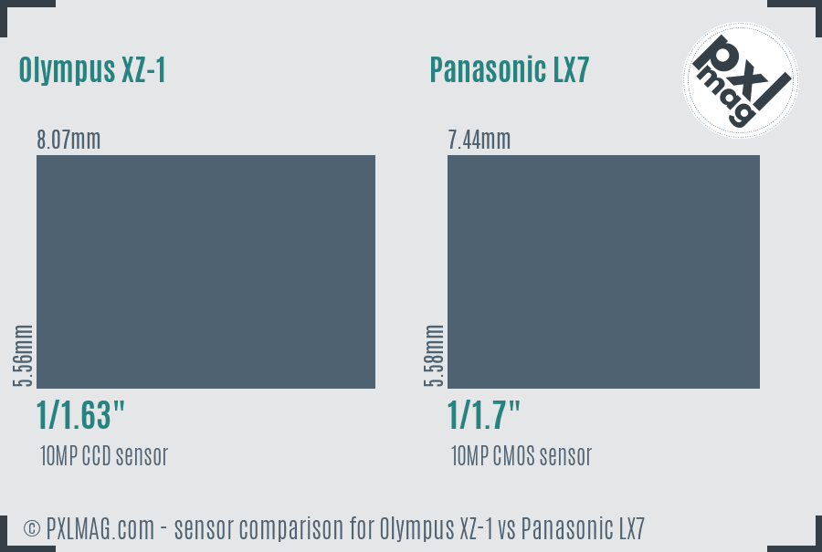 Olympus XZ-1 vs Panasonic LX7 sensor size comparison