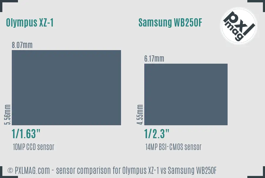 Olympus XZ-1 vs Samsung WB250F sensor size comparison