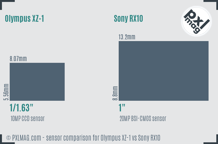 Olympus XZ-1 vs Sony RX10 sensor size comparison
