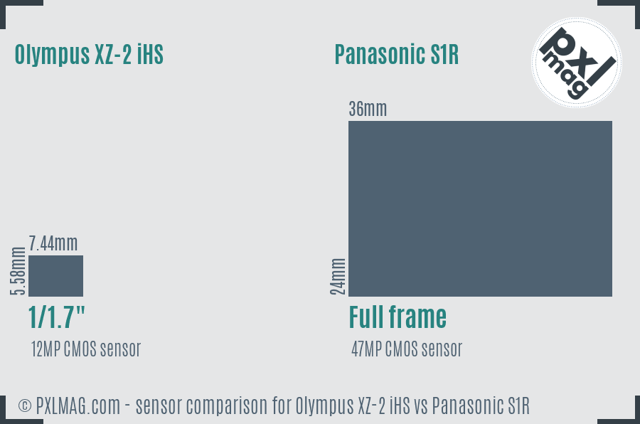 Olympus XZ-2 iHS vs Panasonic S1R sensor size comparison