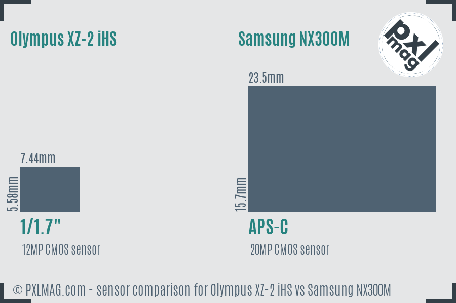 Olympus XZ-2 iHS vs Samsung NX300M sensor size comparison