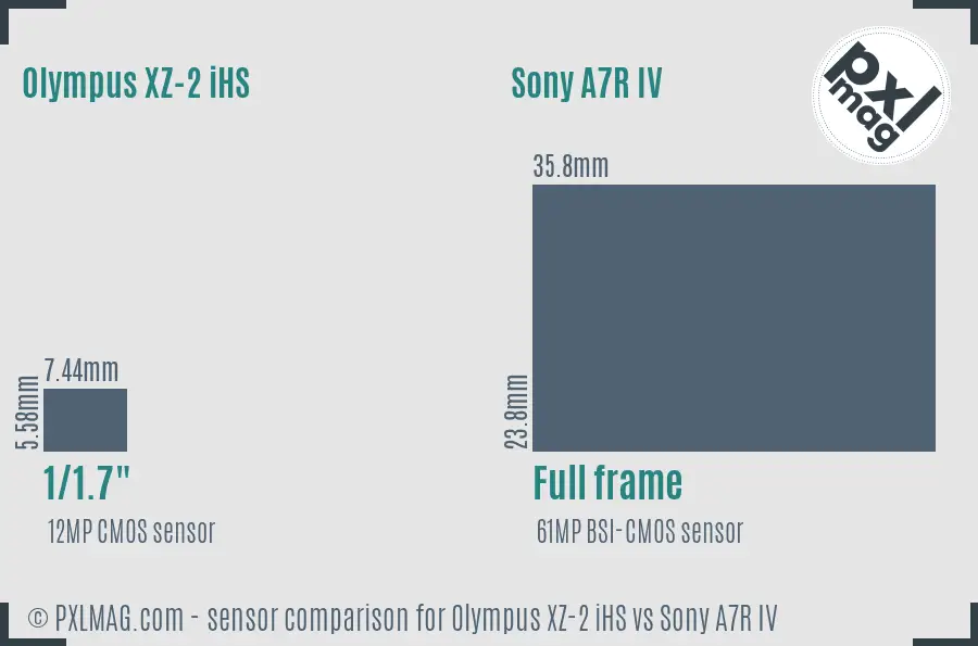 Olympus XZ-2 iHS vs Sony A7R IV sensor size comparison